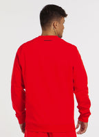 Men's sweatshirt Beyer