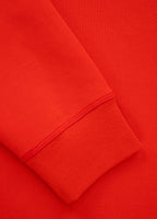 Men's sweatshirt Beyer