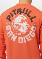Men's sweatshirt DOG SD - salmon color