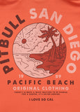 Men's hoodie PLANET SURF - salmon