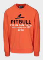 Men's sweatshirt SURFING DOG