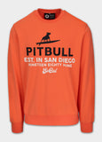 Men's sweatshirt SURFING DOG