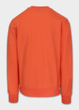 Men's sweatshirt SURFING DOG