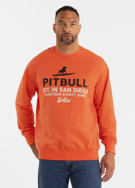 Men's sweatshirt SURFING DOG