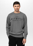 Men's sweatshirt washed MT FUJI
