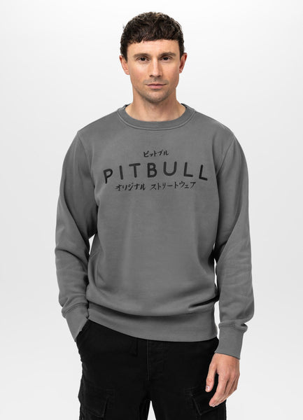 Men's sweatshirt washed MT FUJI