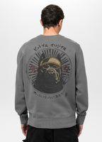 Men's sweatshirt washed MT FUJI