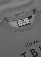 Men's sweatshirt washed MT FUJI