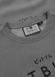 Men's sweatshirt washed MT FUJI