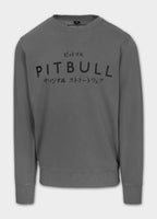 Men's sweatshirt washed MT FUJI