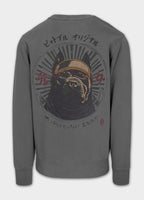 Men's sweatshirt washed MT FUJI
