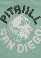 Men's Hoodie DOG SD - Mint