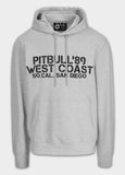 Men's hoodie DRIVING