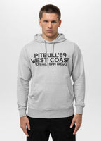 Men's hoodie DRIVING