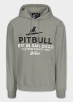 Men's hoodie SURFING DOG