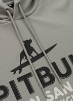 Men's hoodie SURFING DOG
