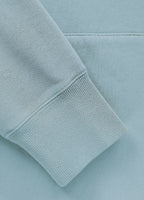 Men's Washed Lancaster II Hoodie - Light Blue