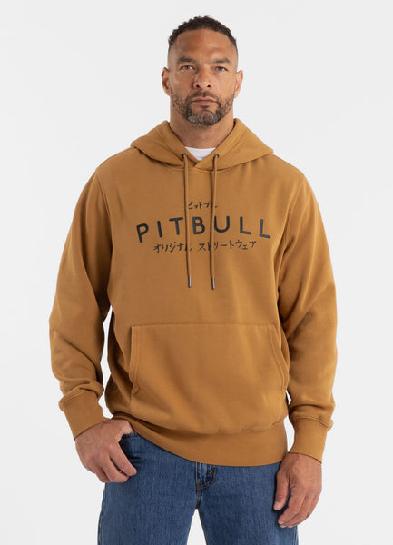 Men's Washed MT FUJI Hoodie
