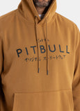 Men's Washed MT FUJI Hoodie