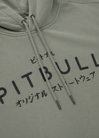 Men's Washed MT FUJI Hoodie