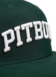 Kappe Snapback PITBULL