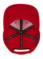 Kappe Snapback PITBULL