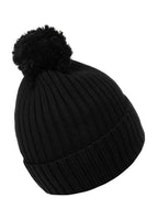 California Dog winter hat