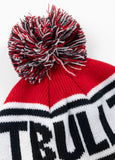 Fleming II winter hat