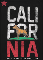 Men's T-Shirt CALIFORNIA - Black