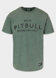 Men's Denim Washed MT. FUJI T-Shirt - Sage Green
