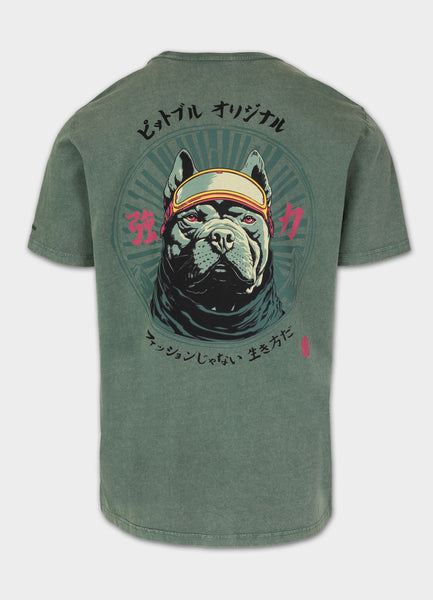 Men's Denim Washed MT. FUJI T-Shirt - Sage Green