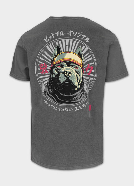 Men's T-Shirt Denim Washed MT. FUJI - Gray