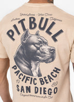 Men's T-Shirt Denim Washed Raw PACIFIC - Light Sand