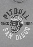 Men's T-Shirt Denim Washed Raw SKULL LOGO - Grey
