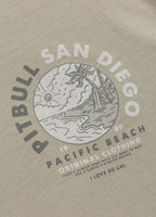 Men's T-Shirt PLANET SURF - Olive Grey