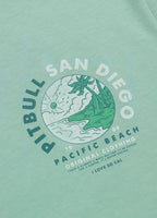 Herren T-Shirt PLANET SURF - Mint