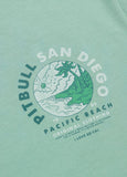 Herren T-Shirt PLANET SURF - Mint