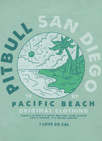 Herren T-Shirt PLANET SURF - Mint