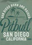 Herren T-Shirt SAN DIEGO BORN - Mint
