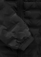 Men's winter jacket with hood Firestone
