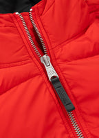 Men's winter jacket with hood Gopher
