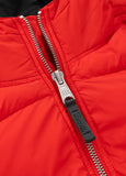 Men's winter jacket with hood Gopher