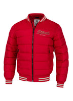 Men's winter jacket with hood Hidden
