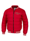 Men's winter jacket with hood Hidden