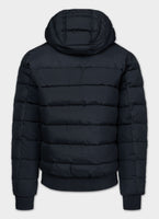 Men's winter jacket with hood Dillon