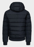Men's winter jacket with hood Dillon