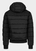 Men's winter jacket with hood Dillon