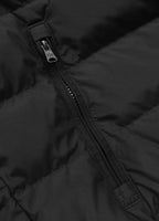 Men's winter jacket with hood Dillon
