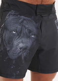 Trainingsshorts Performance Pro plus Born in 1989