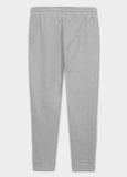 Herren Jogginghose SMALL LOGO NUGGET - Grau Melange